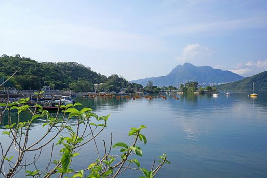 The yacht, fishing and recreational boats on lake, fence and mountains