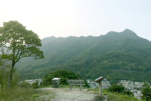 The tree, outdoor chair with village and green mountain background