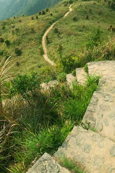 The green grass, plants, footpath and stone staircase in mountain