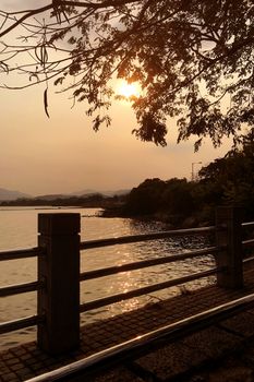 The outdoor garden footpath, tree and the ocean at sunset