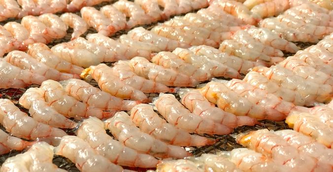 Fresh raw seafood shrimp on the outdoor metial net