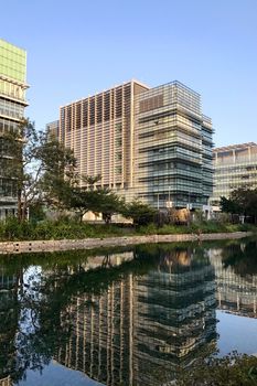 modern commercial office building, tree and the river