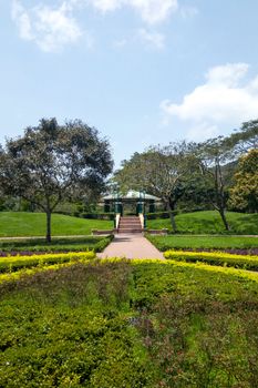 Green plant, tree, footpath in the park at daytime