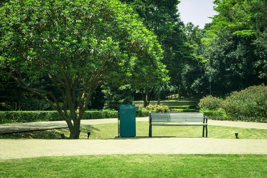 Green tree, plants and wooden bench in the public park