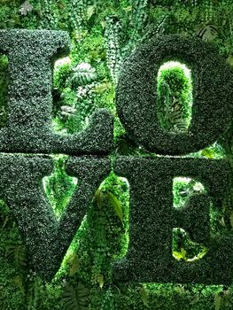 Indoor green grass and plant wall with the love word 