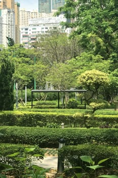 Green tree, plant, footpath in the park with the building