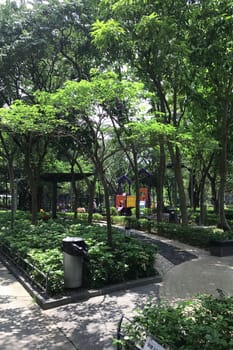 Outdoor playground, green tree and plants in the park