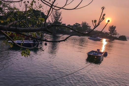 The silhouette of tree, gradient sky, boat and the ocean