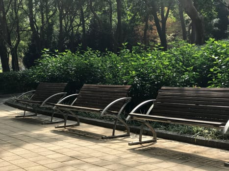 Garden bench, green plant and the footpath