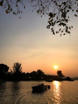 Sun, tree and fishing boat on the lake at the sunset