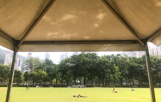 Some people have suntan and picnic and the outdoor urban park from tent view