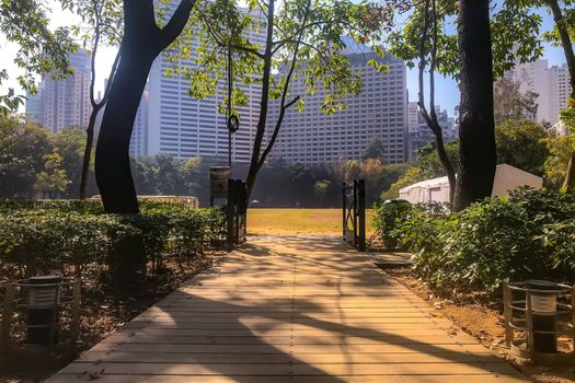 The horizontal outdoor wooden floor and green field in city public park