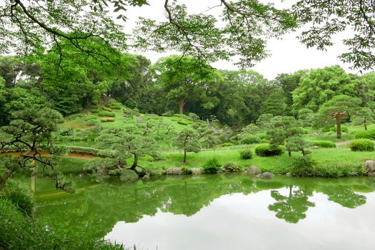 Green plant, tree and lake in the Japanese zen garden