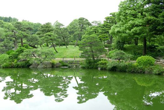 Green plant, tree and lake in the zen garden