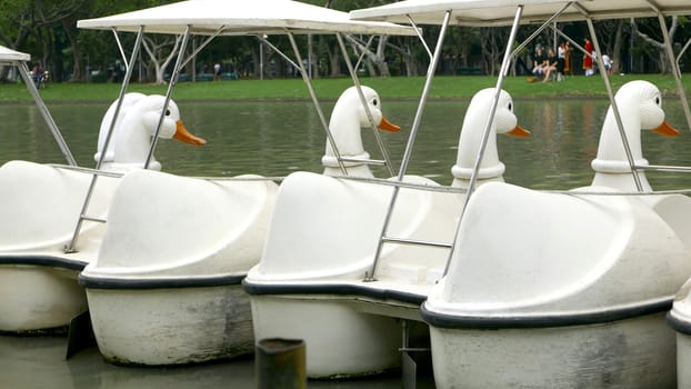 The back of vintage white duck recreation boat on the lake