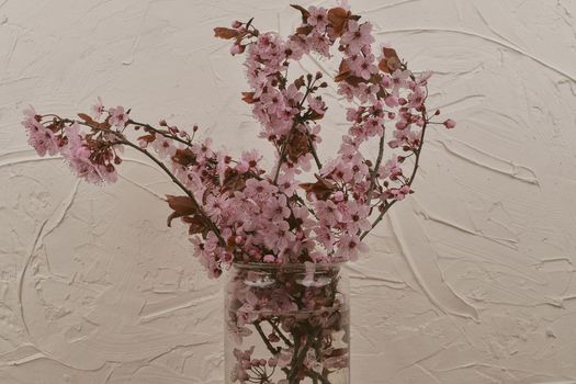 Pink flowering twigs in the vase. Sakura indoors. Blooming spring concept. Minimalism concept. White textured background, retro haze