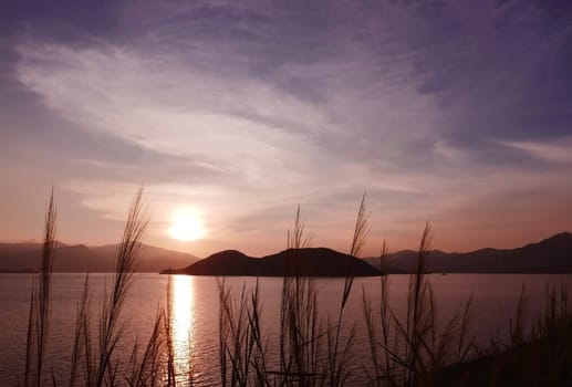 The silhouette of mountain, plant cloud and ocean at sunset