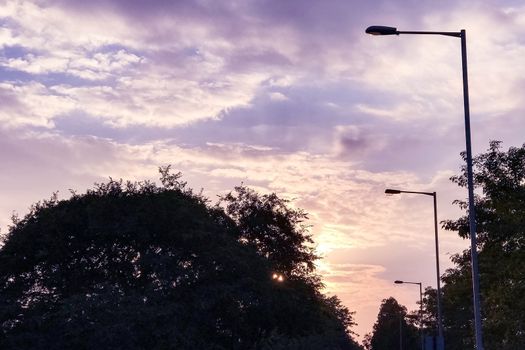 The silhouette of tree and street lamp with gradient purple sky at sunset