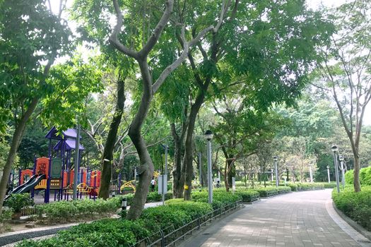 children playground, garden footpath and green tree