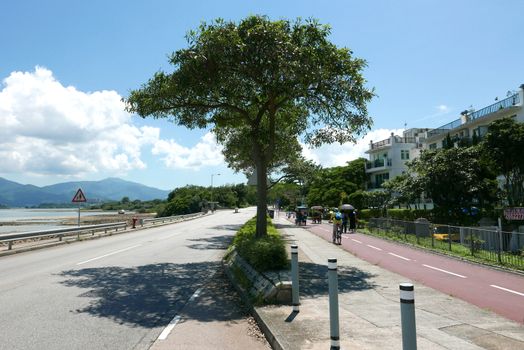 Car road and bicycle lane with the green tree