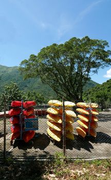 Vertical colorful surfing boards are in the outdoor storage area