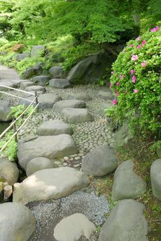 Pink flowers, green plants, tree, stone footpath in the zen park