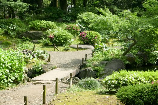 Pink flowers, green plants, tree, footpath in the zen park