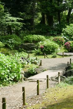 Pink flowers, green plants, bridge, footpath in the countryside