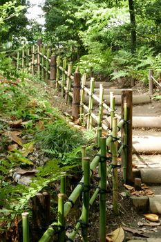 Vertical staircase, green plants in the park