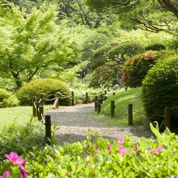 Pink flowers, green plants, bridge, footpath in the countryside