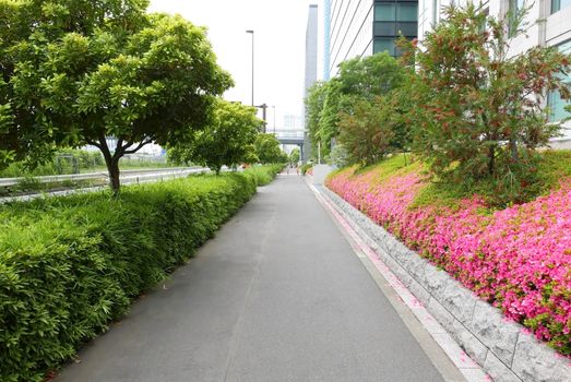 Commerical building, footpath, tree and blossom flowers in Japan