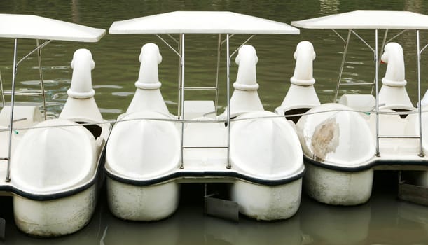 The back of vintage white duck recreation boat on the lake