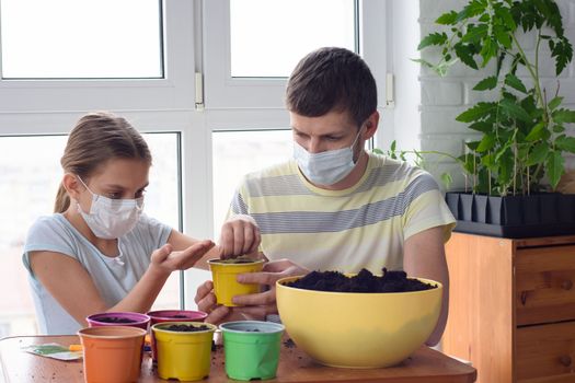 Quarantine dad and daughter plant seeds in pots with soil
