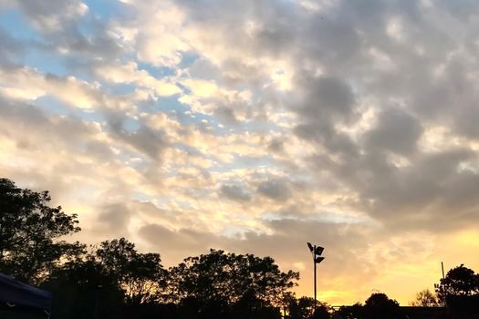 The silhouette of tree and street lamp with gradient orange to blue sky at sunset