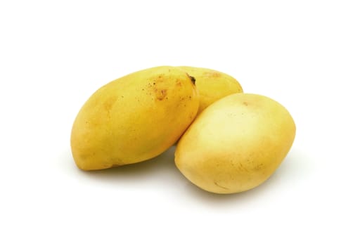 three yellow mangos on white background