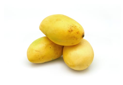 three yellow mangos on white background