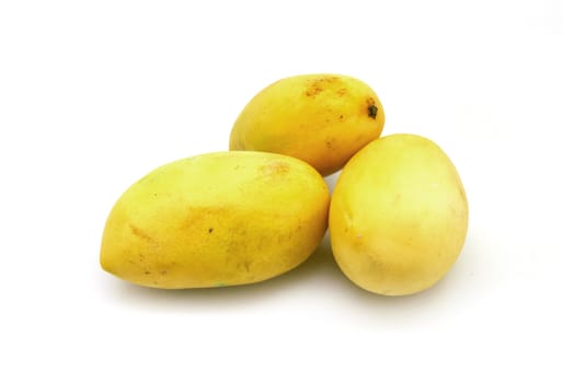 three yellow mangos on white background