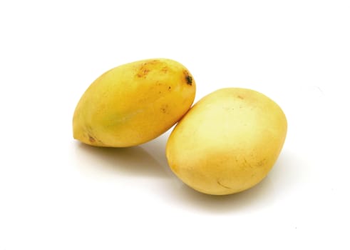 three yellow mangos on white background