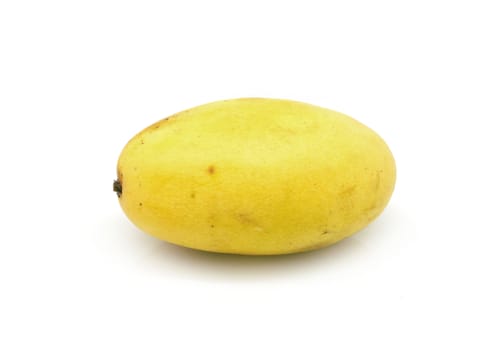 one yellow mango on white background