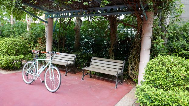 bicycle near outdoor wooden benches and green plants in garden