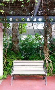 Outdoor wooden bench and green plants in the park