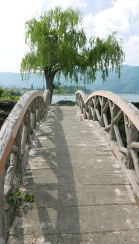 Vertical wooden bridge footpath in the garden