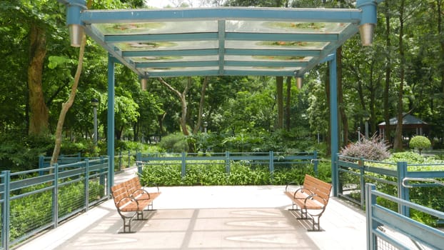 Few wooden benches with their tree shadow are in the park