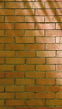 Brick wall with tree shadow in the park