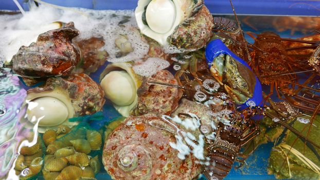 Shellfish, lobster, shell in wet market