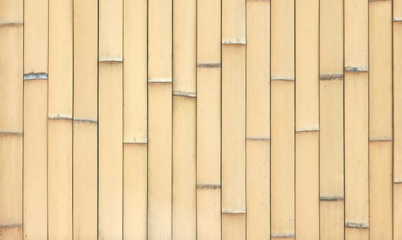 Light brown beige column textured bamboo background