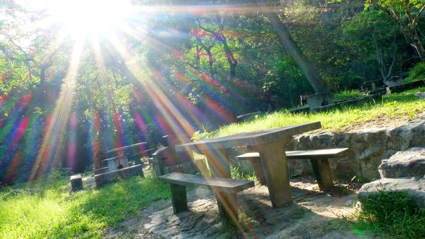 Summer Country Park with sun light