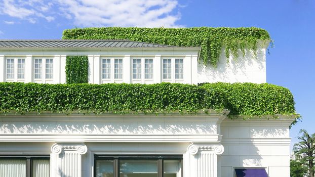 Country house with some green plants around the building roof