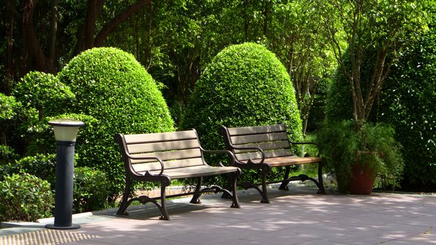 Green plants and benches in formal garden
