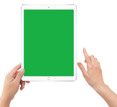 Isolated human left hand holding white tablet computer green screen mockup on white background